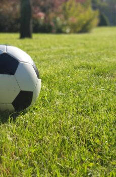 Futbol Football