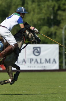 polo play la palma